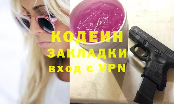 шишки Вяземский