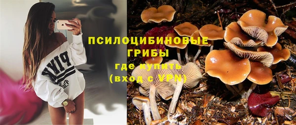 spice Россошь