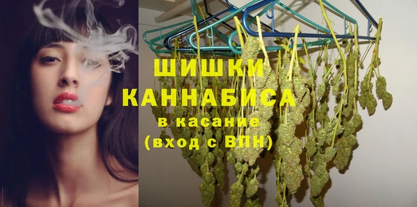 дмт Рославль