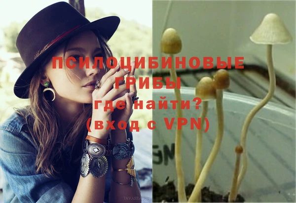 apvp Сатка