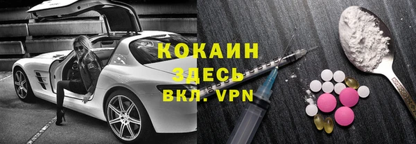 шишки Вяземский